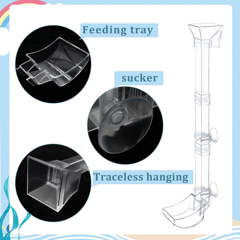 Aquarium Fish Shrimp Feeding Dish Set Clear Fish Feeder Tube and Dish with Cleaning Brush and Measuring Spoon for Feeding Shrimp and Preventing Food Scattering Feeding Supplies for Shrimp Large - PawsPlanet Australia