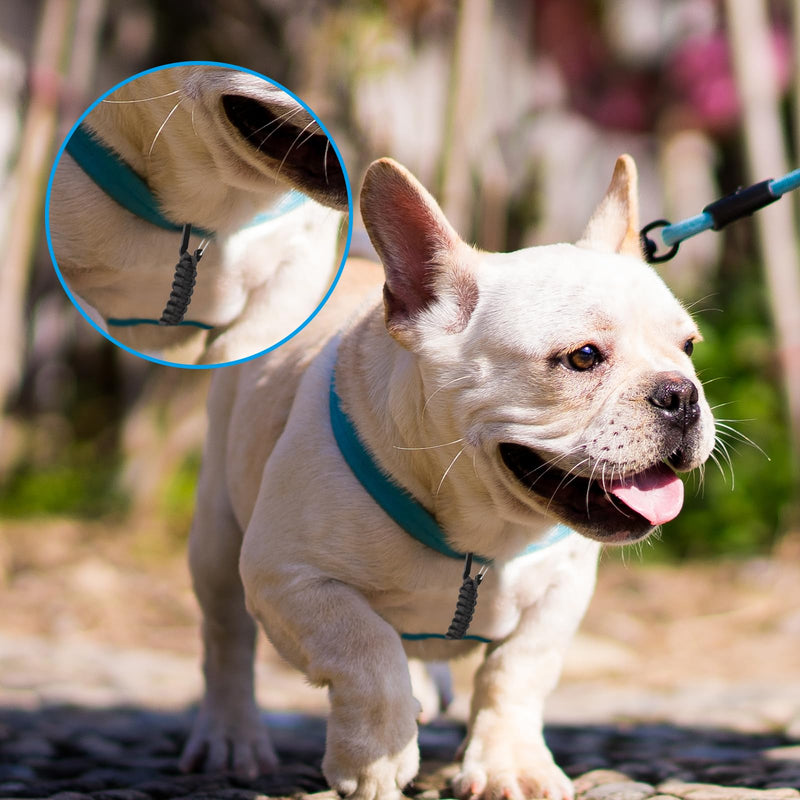 Dog Leash Safety Clip, Backup Safety Strap for Prong Collar, Dog Harness Connector, Training for Running, Walking and Hiking - PawsPlanet Australia