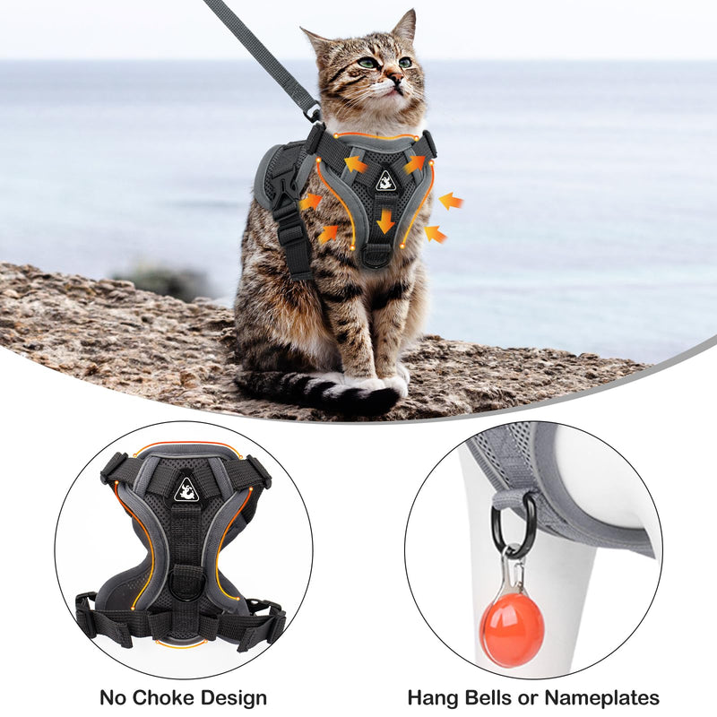 Cat Harness and Leash for Walking & Cat Recovery Suit for Abdominal Wounds or Skin Diseases - PawsPlanet Australia