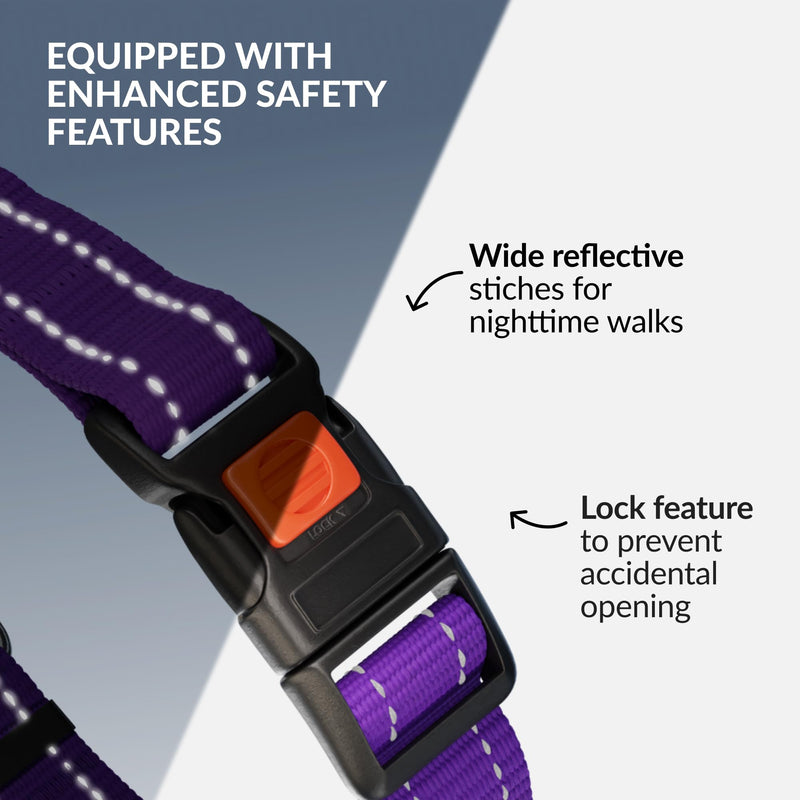 CollarDirect Martingale Dog Collar with Stainless Steel Chain and Quick Release Buckle - Reflective Collar for Large, Medium, Small Dogs - Purple, Medium (Neck Size 14"-17")