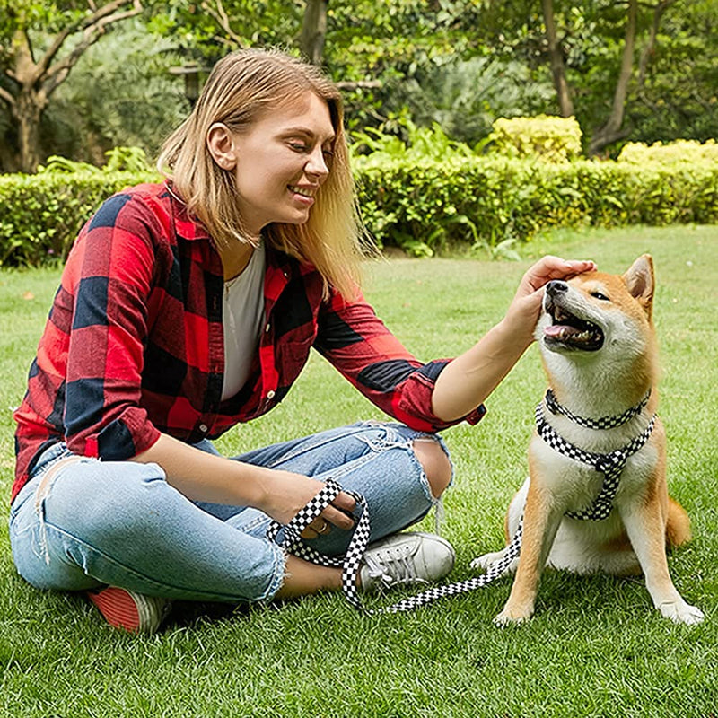Roses&Poetry Dog Collar and Leash for Small,Adjustable Durable 5ft Puppy Leash Collar for Dog Training Lead（Black & White-S） Black & White S - PawsPlanet Australia