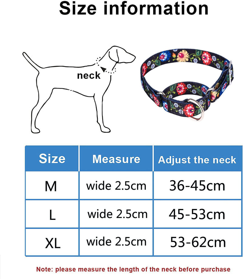 Heavy Duty Nylon Dog Collar, Adjustable Martingale Dog Collar for Walking Training Boy and Girl Dogs Medium Large Dogs (L:45-53CM, Strawberry Flowers) L:45-53CM - PawsPlanet Australia