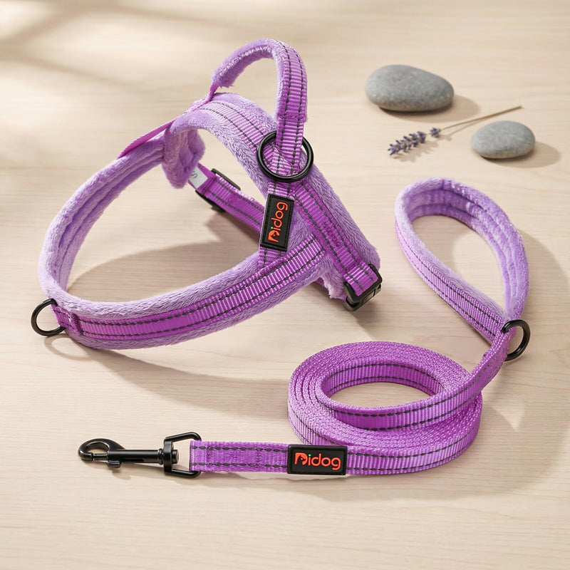 Didog 6 FT Purple Dog Leash for Small Medium Dogs, Reflective Dog Leash with Soft Padded Handle, Slim 5/8" Width & 360° Swivel Clasp for Daily Walking/Training 5/8''x 6 FT - PawsPlanet Australia