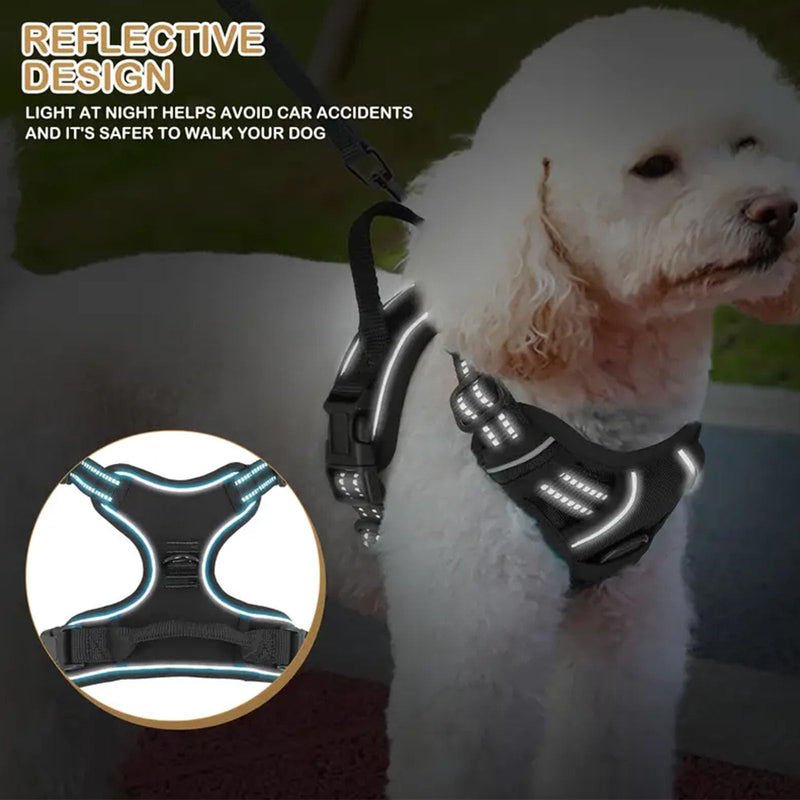 Dog Harness and Leash Set,Eflective and Breathable Pet Harness, Adjustable Comfortable Soft Padded Vest Harness Easy Control with a Free Heavy Duty 5ft Dog Leash. (Sky Bllue, Large) Sky Bllue - PawsPlanet Australia