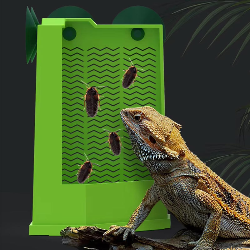 Bearded Dragon Feeder, Gecko Tank Accessories Cricket Keeper with 2 Suction Cups, Wall Mounted Reptile Tank Accessories for Lizard, Iguana, Gecko, Frog Hunting, Small Size(Green) - PawsPlanet Australia