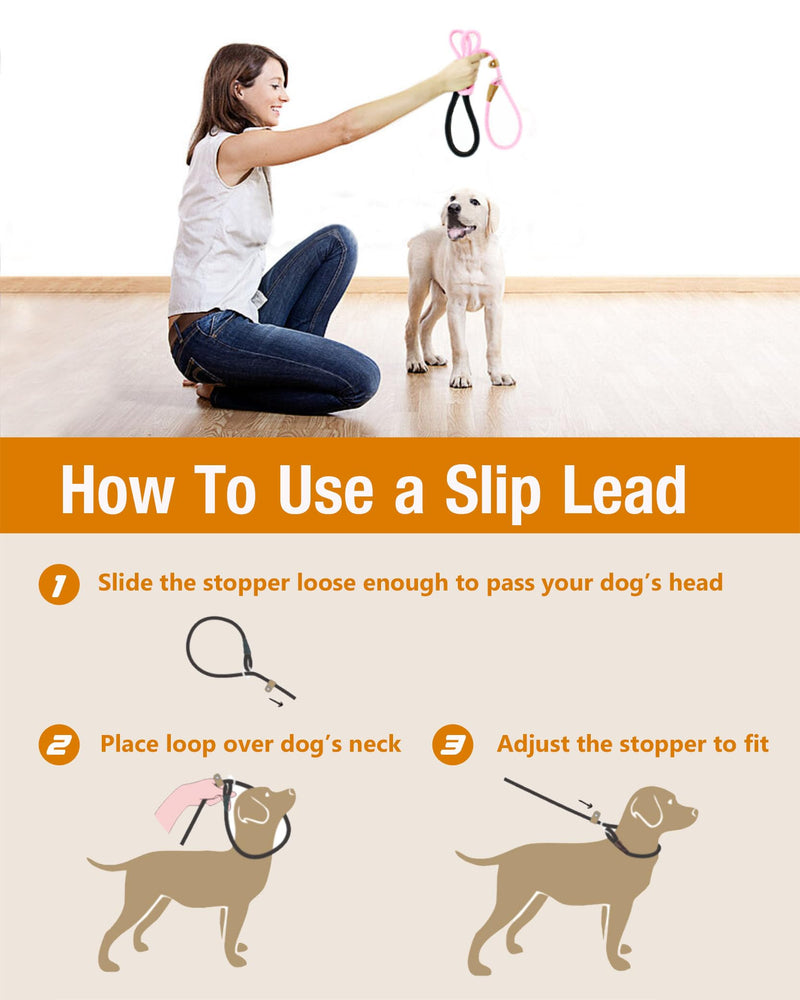 lynxking 8 FT Dog Leash Slip Lead 2 Pack Strong Heavy Duty Braided Dog Training Leash No Pull Training Lead Leashes for Medium Large and Small Dogs Blue 2PCS Slip Lead-1/2in x 8ft Large - PawsPlanet Australia