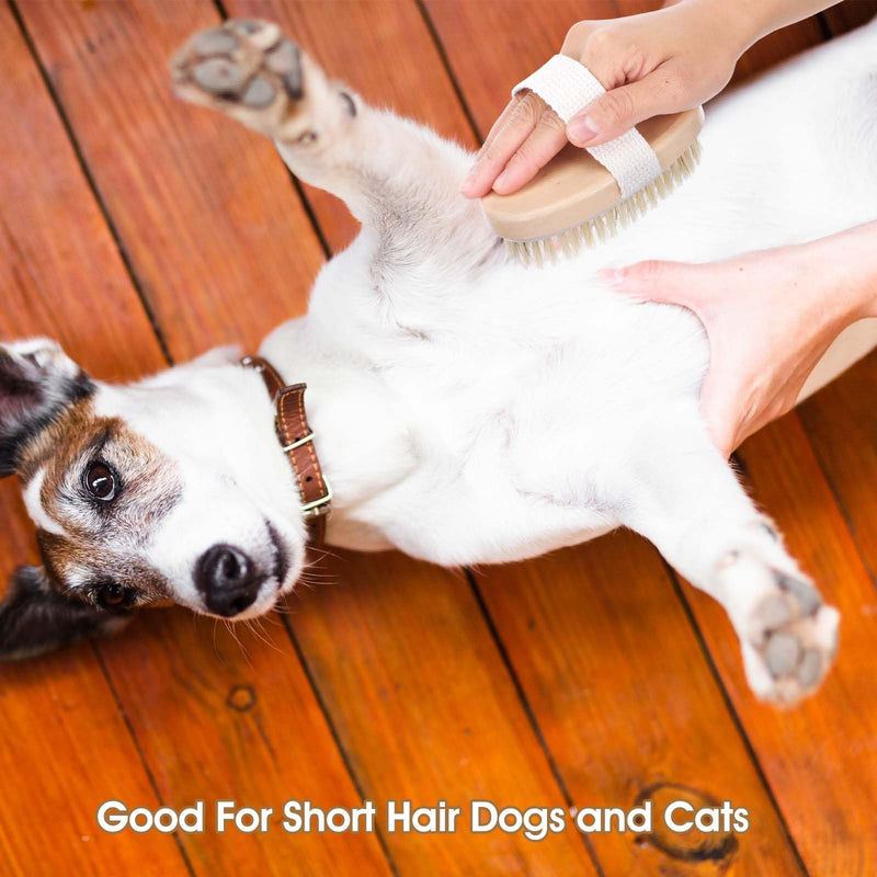 Soft Boar Bristle Pet Brush, Ergonomic Dog Brush Reduces Shedding, Ideal for Daily Gentle Grooming Natural Palm Brushes for Short Haired Dogs & Cats with Non-Slip Band - PawsPlanet Australia