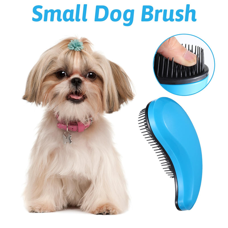 Small Dog Brush, Puppy Brush Grooming Tool, Gentle Cleaning Slicker Hair Brushes Remover for Teddy Yorkies Maltese Shih Tzu Chihuahua Cats Rabbits (Blue)