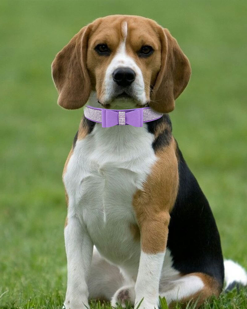 Bling Dog Collar for Small Medium Large Dogs, Crown Rhinestone Dog Collars for Girl and boy Dog, Diamond Puppy Collars, Adjustable Leather Suede SOFE Cat Collar (M(13"-15.4"/33CM-39CM), Purple3) M (13"-15.4" / 33-39 cm)