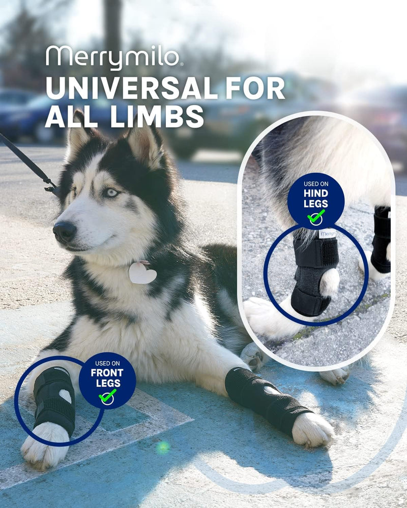 Dog Leg Brace for Rear Hock & Ankle, Canine Hind Leg Joint Compression Wrap for Torn ACL & CCL, Injury and Sprain Protection, Wound Care and Loss of Stability 1 Pair, Size: Large black - PawsPlanet Australia