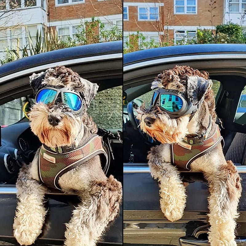 Dog Goggles,UV Protection Wind Protection Dust Protection Snow Protection Fog Protection Soft Frame Glasses for Long Snout Dogs Eyes Protection with Adjustable Strap (S: Blue Lens) S: Blue lens - PawsPlanet Australia