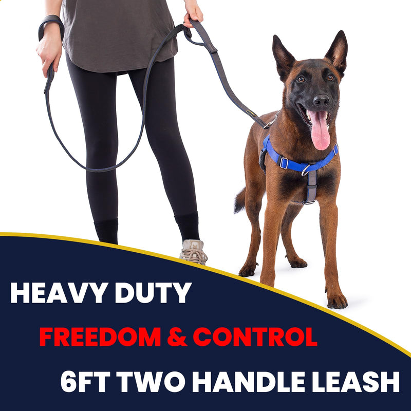 2 Handle Dog Leash, with Sandwich Mesh-Lined Webbing Traffic Padded, 6ft Long for Control Saftey Training for Large Dogs Pull, Dual Handles Leads (Black/Grey, 1'' X 6ft.) 1'' X 6ft. Black/Grey - PawsPlanet Australia