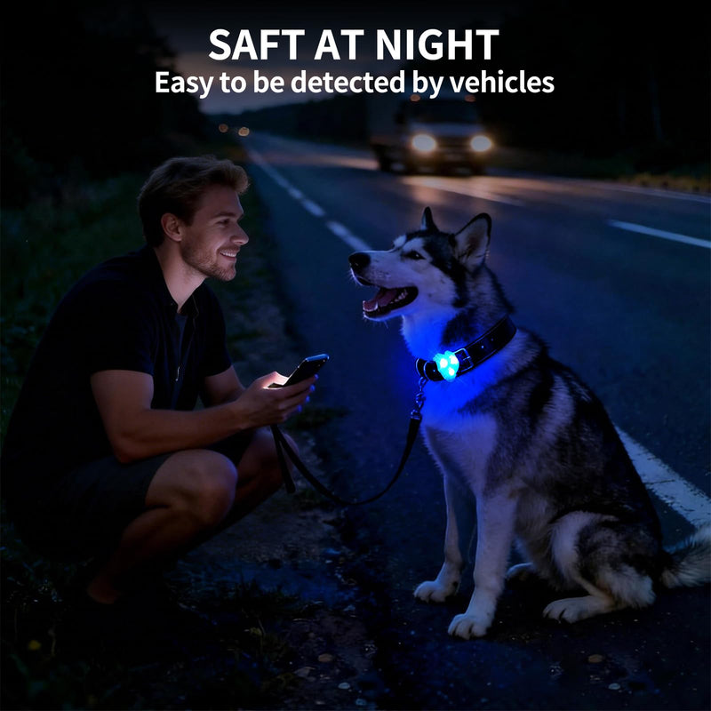 LaRoo LED Dog Collar Light - Waterproof Clip-On 3 Modes, High Visibility for Night Walking/Camping, Pet Safety Light for Small/Medium/Large Dogs (Blue) Blue-A - PawsPlanet Australia