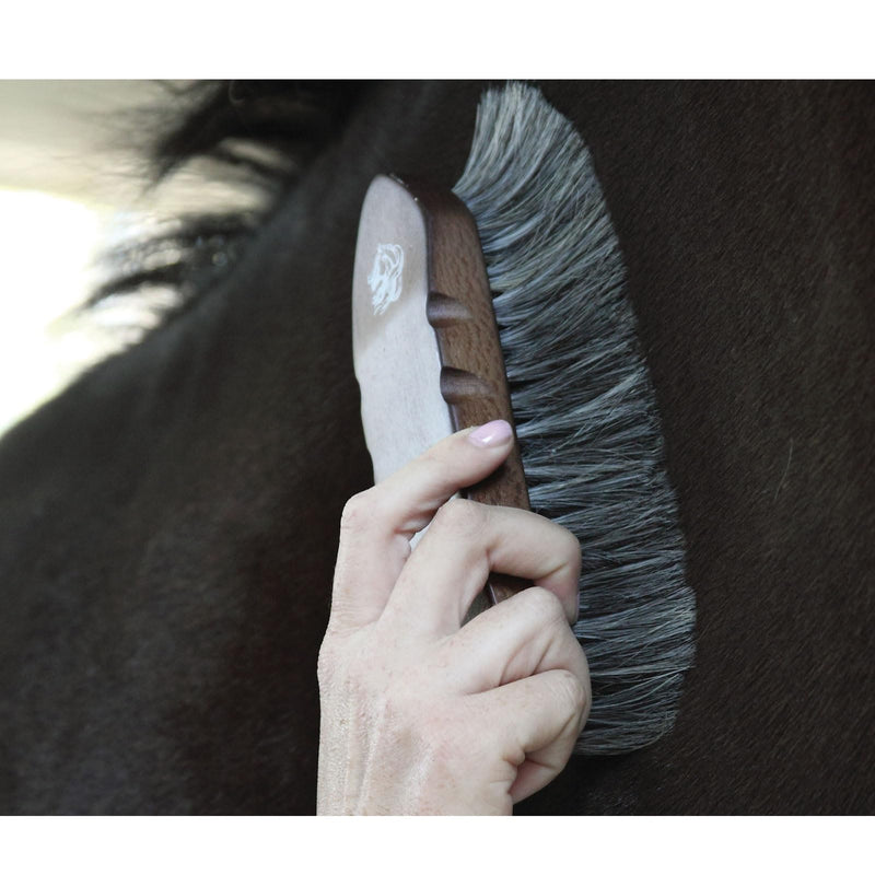 Tail Tamers W210 Great Grooves Wood Series Dandy Horse Hair Brush, Large