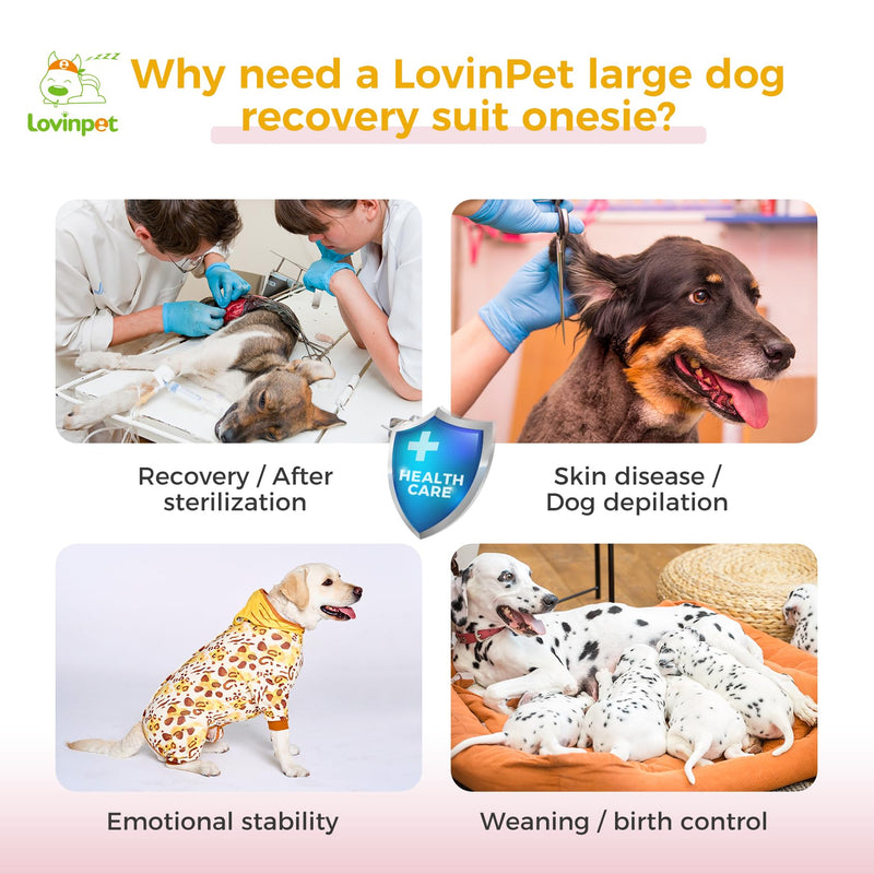 LovinPet Dog Recovery Suit for Large Medium Dogs - Dog's Bodysuit Wound Protective Surgical,E-Collar Alternative Recovery Snugly Suit for Abdominal Wounds After Surgery Anti-Licking,Tiger,Yellow,M Brown collar/Yellow - PawsPlanet Australia