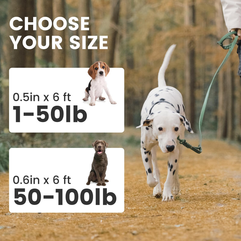 Howgo Leather Dog Leash 6 Foot Super Lightweight Military Grade Heavy Duty Soft and Comfortable Lead for Large Medium and Small Dogs Training and Walking (Green, 1/2in) Green 0.5in x 6ft - PawsPlanet Australia