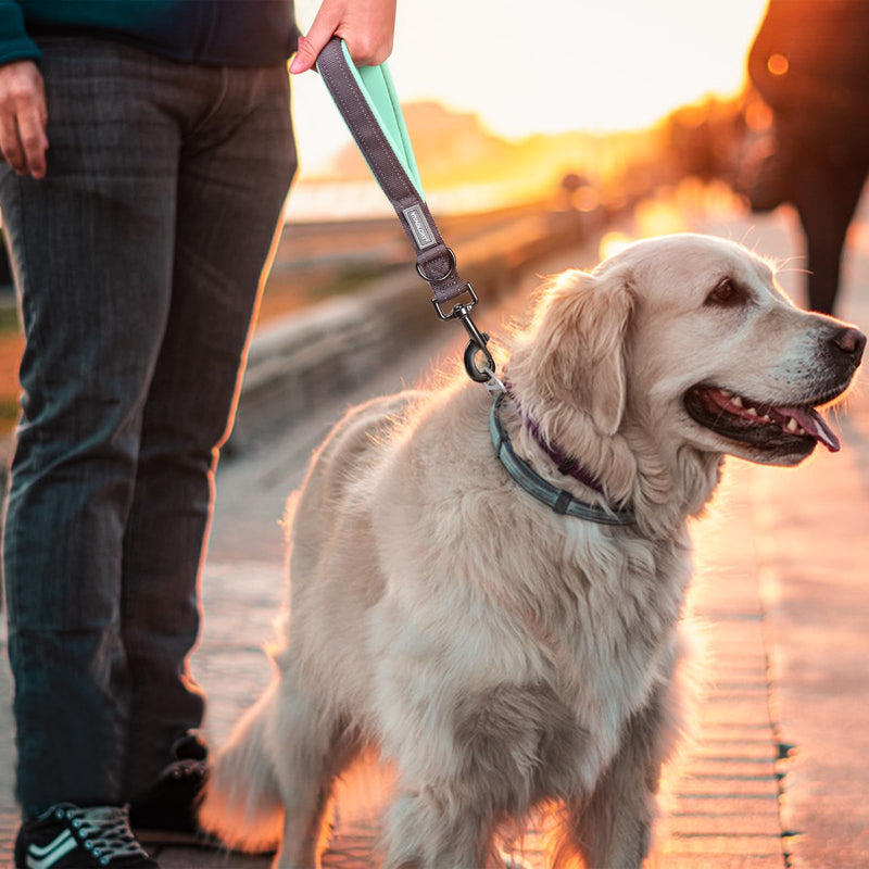 VIVAGLORY Short Dog Leash Closelyt Traffic Leash for Dog with Soft Padded Handle for Training & Walking, Padded Neoprene & Heavy Duty, 12inch, Grey 12 inch Nylon. Grey - PawsPlanet Australia