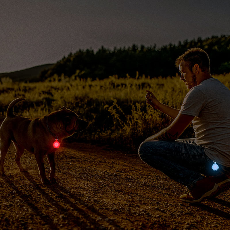2-Pack Dog Light with USB Rechargeable, Color Changing Collar Light,IP67 Waterproof LED Safety Lights White - PawsPlanet Australia