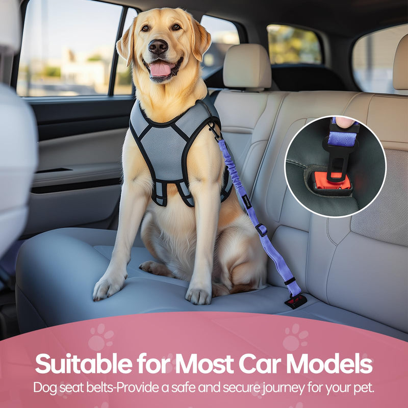 3 Pack Thickened Dog Seat Belt, Set Retractable Dog Car Adjustable Seatbelts for Vehicle Nylon Pet Safety Heavy Duty & Elastic & Durable Car Harness for Dogs, Blue Dark blue - PawsPlanet Australia