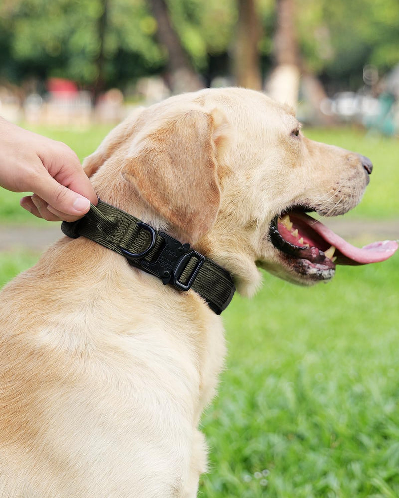 Joytale Tactical Dog Collar(17"-21") and Dog Leash Set, Shock Absorbing Bungee Dog Leash and Adjustable Strong Dog Collar with Handle for Large Dogs(ArmyGreen, L) - PawsPlanet Australia