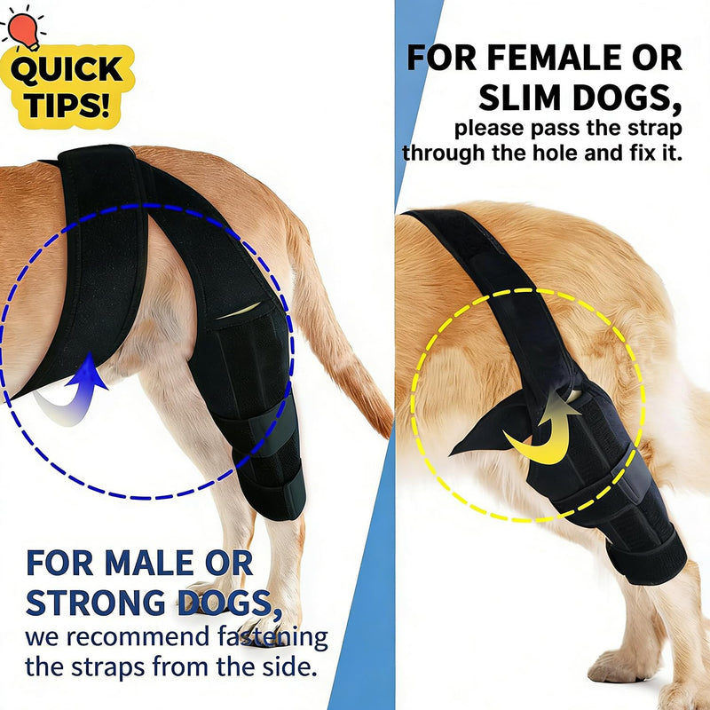 Dog Knee Brace for Torn ACL,Dog ACL Braces with Side Stabilizers,Adjustable Dogs Leg Brace Suitable for 4 Limbs,Dogs Hip Brace for Arthritis Relief, Joint Stability,Reduces Pain and Inflammation L