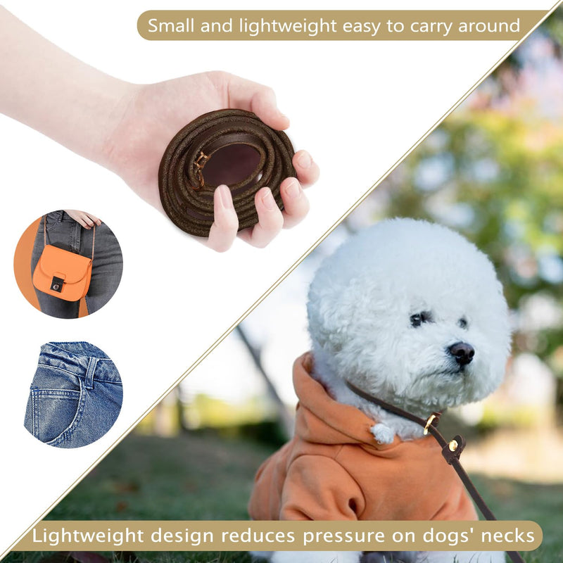 Guiding Star Leather Slip Lead Dog Leash for Small Dogs & Puppies 6 Ft x 1/4 Inch,Luxurious and Lightweight Leather Training Dog Leash for Walking with Soft Handle (Brown) Slip Leash Brown - PawsPlanet Australia