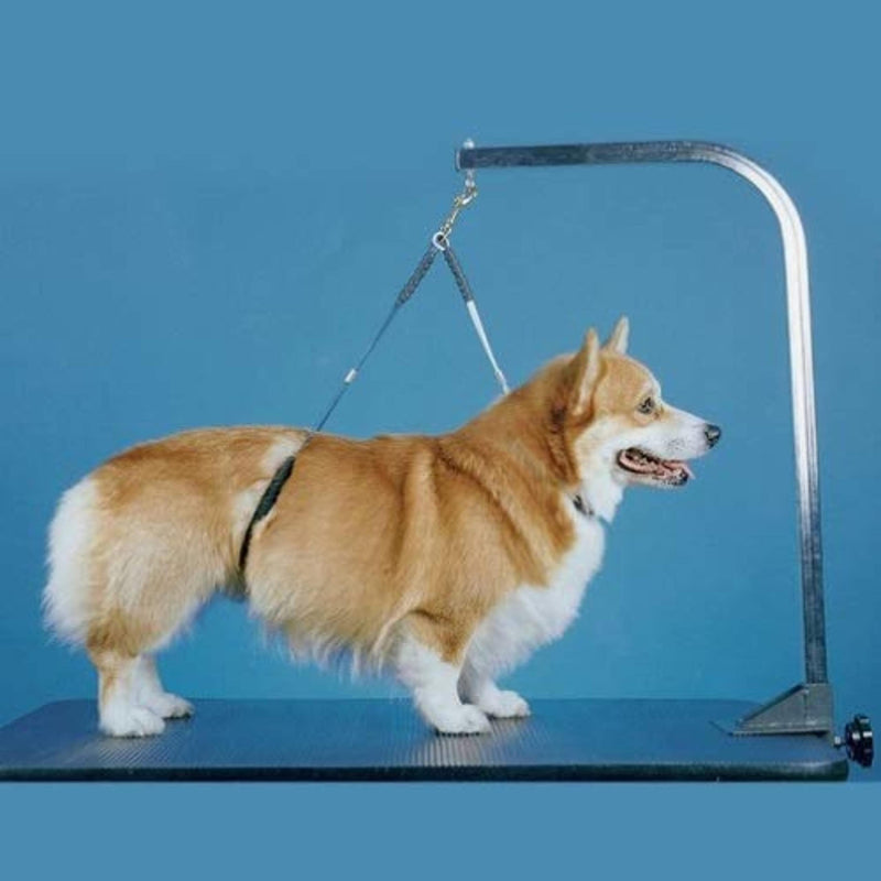 No Sit Haunch Holder Dog Grooming Restraint Restraint for Large dogs (Large: 21" and 24") by Downtown Pet Supply - PawsPlanet Australia