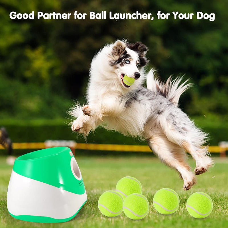6 Pack Mini Tennis Balls for Pet Playing Fecth, 2 inch Dog Training Tennis Balls for Small Size Dogs, Interactive Dog Playing Balls Fits 2 inch Dog Ball Launchers - PawsPlanet Australia