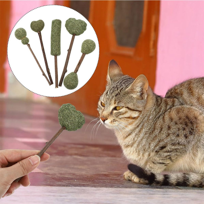 Luxshiny 10 Pieces Edible Catnip Dental Care Sticks Cat Lozenges for Teeth Cleaning and Loneliness for Indoor Cats Random Style