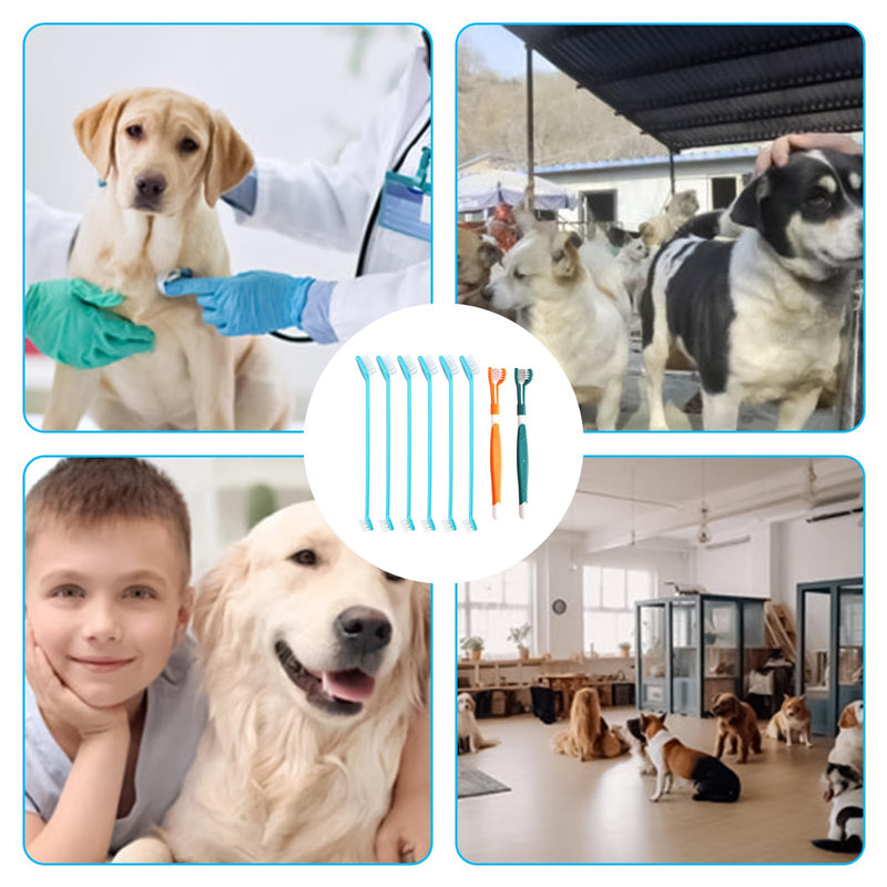 Dog Toothbrush,8 Pieces Pet Toothbrushes,2 Three Sided Pets Toothbrush,6 Double Head Tooth Brush,Multi-Angle Dental Cleaning Brushes for Dogs,for Clean Pet Cats Teeth