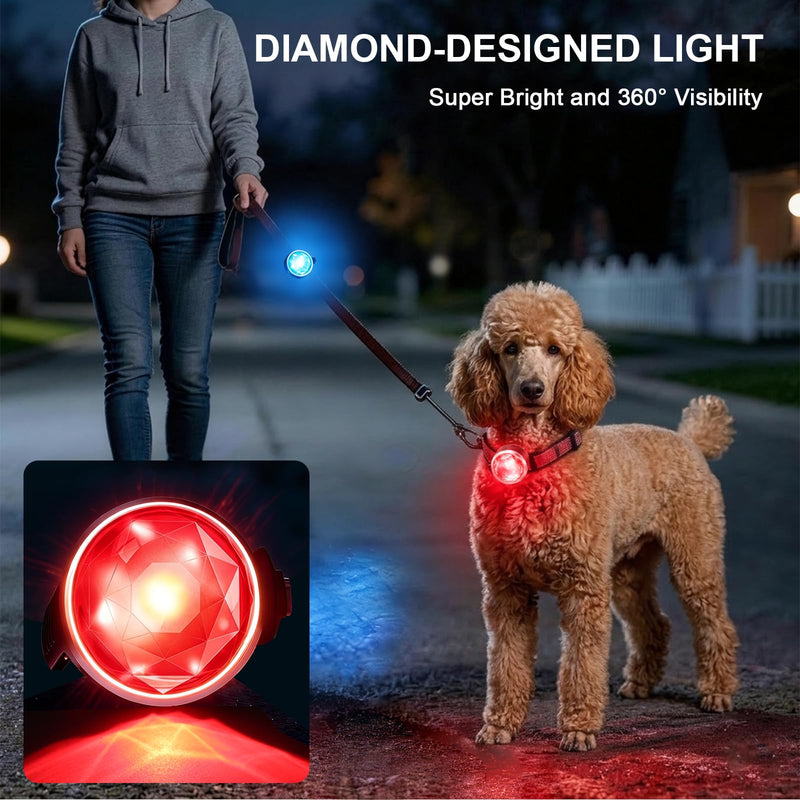 2-Pack Dog Collar Lights, Yesbular USB-C Rechargeable Dog Light Clip-On, Waterproof LED Pet Safety Light with Adjustable Silicone Strap for Night Walking, Camping(RGB 7-Color) RGB - PawsPlanet Australia