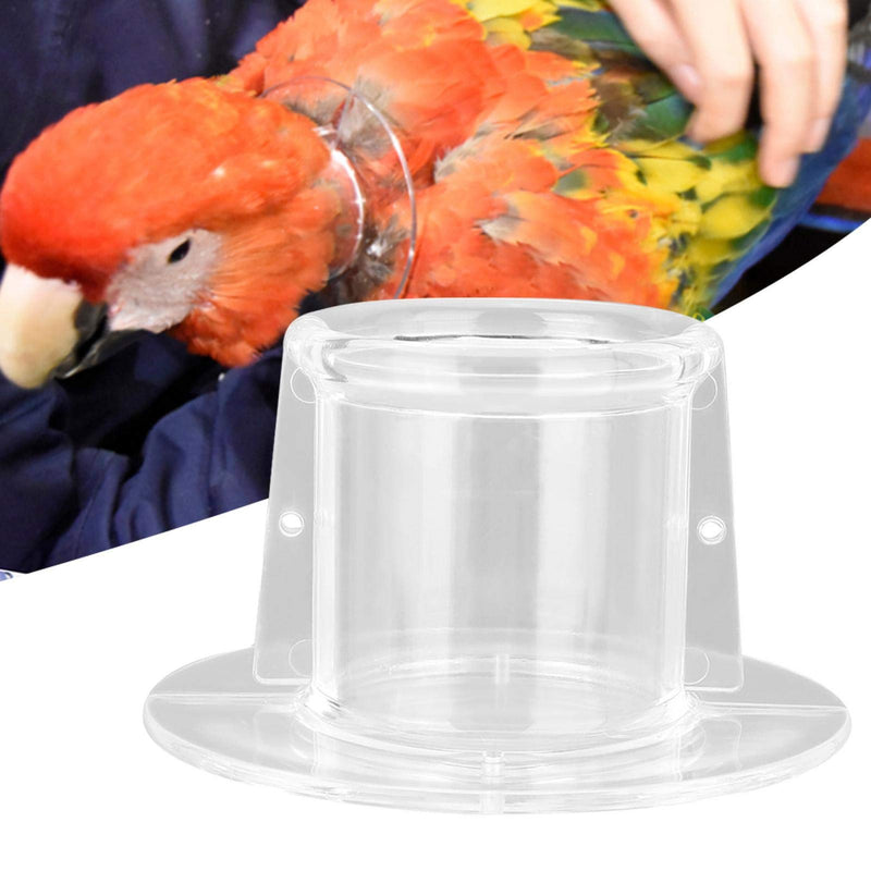 Bird Collar, Bird Recovery Collar Bird Elizabethan Collar Recovery Wound Healing Protective Neck Cover Anti Bite Neck Collar (L) L - PawsPlanet Australia