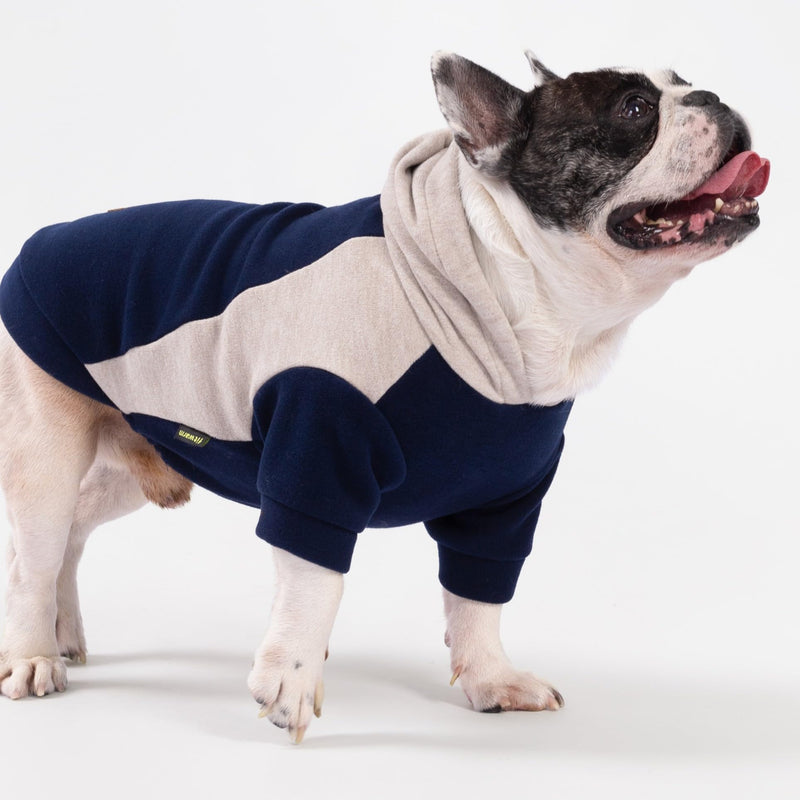 Fitwarm Color Block Dog Hoodie Sweater, Winter Clothes for Small Dogs Boy Girl, Lightweight Pet Sweatshirt, Midnight Blue, Beige, XL X-Large - PawsPlanet Australia