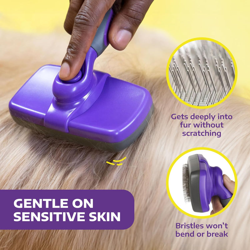 Hertzko Self-Cleaning Slicker Brush for Deshedding Long and Short-Haired Pets - Small Size Grooming Rake and Comb for Dogs and Cats Small Sensitive Skin Purple - PawsPlanet Australia