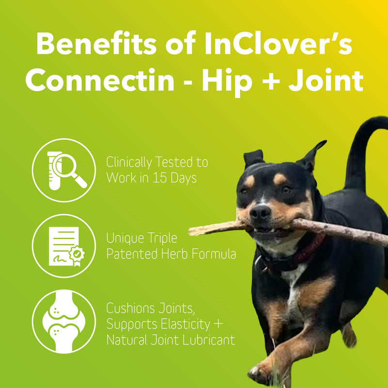 InClover Connectin Natural Hip & Joint Supplement for Dogs with Glucosamine, Chondroitin & Hyaluronic Acid - Soft Chew for Dog Mobility, Comfort & Active Lifestyle Support, 20 Count Soft Chews - PawsPlanet Australia