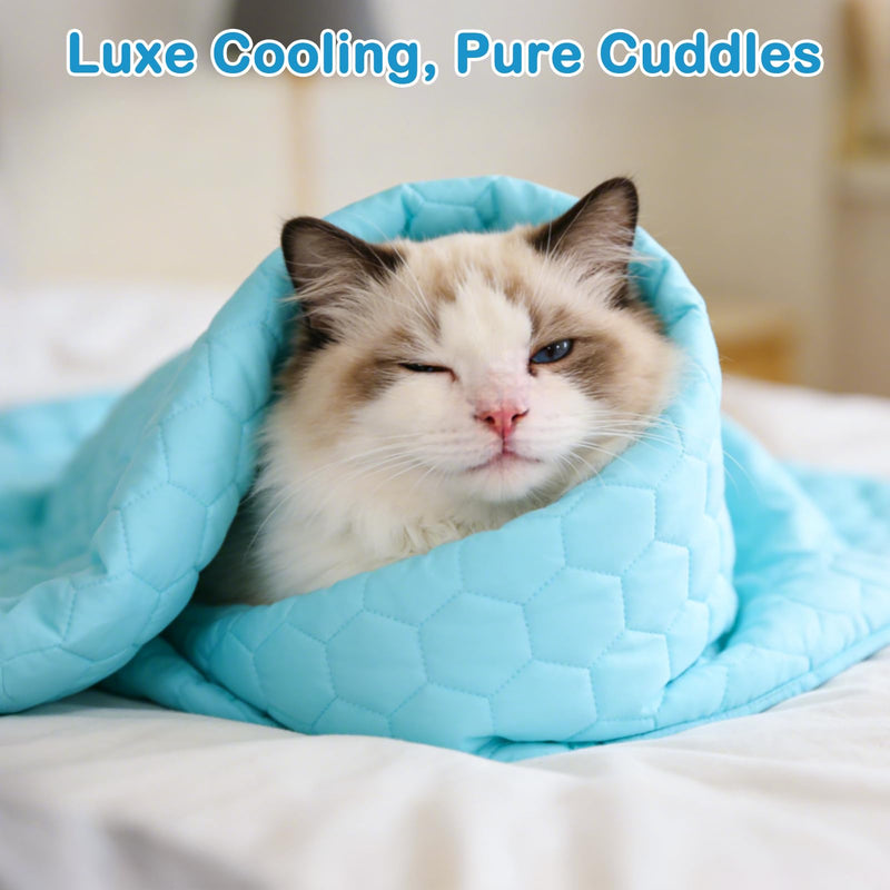 Vivifying Cooling Blanket for Dogs, Waterproof Reversible Dog Cooling Mat, Soft Pet Throw Cooling Mat for Couch, Bed, Crate, Car Seat, Breathable Summer Cat Bed Blanket 30 x 40 Inches (Blue) 30 × 40 inches - PawsPlanet Australia