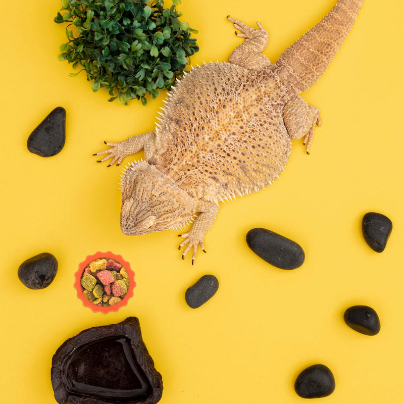 LXUEJEI 12Pcs Crested Gecko Food and Water Bowl, Reusable Silicone Feeding Dishes, Gecko Tank Accessories for Hermit Crab Tarantula Isopods Lizard Silicone Reptile Food Dish (6 Colors) - PawsPlanet Australia