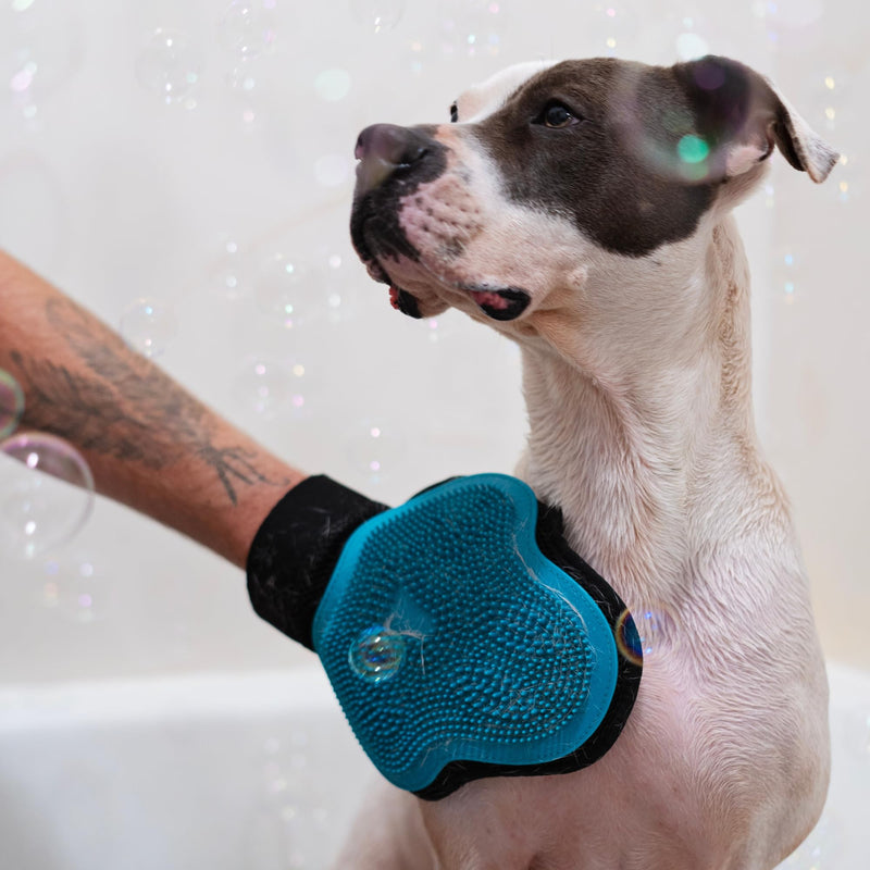 Messy Mutts Reversible Silicone Pet Grooming Glove | Gentle Massage, Brush, Bath and Dog Hair Removal Mitt | One Size Fits All | Blue - PawsPlanet Australia