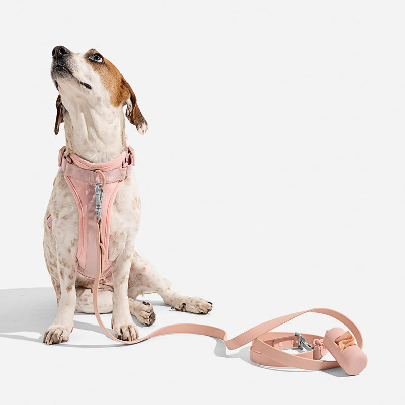 Wild One Harness 2.0 - Medium - Pink