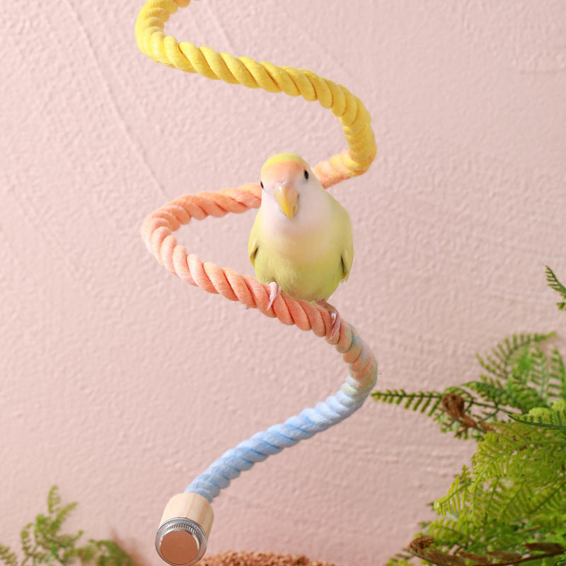 Multi-Color Rope Bird Perch Toys for Parrot Cage Stand, Climbing Swing Accessories for Cockatiel, Parakeets, Budgies, Lovebirds, Conures, Finches - 39.4 inch - PawsPlanet Australia
