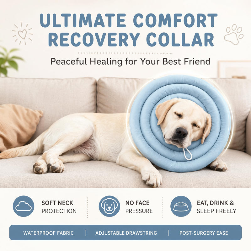 CEWROM Soft Dog Neck Brace for Neck & Upper Body Wounds, Waterproof Dog Collar with Drawstring, Surgical Collar for Large Dogs, Visibility-Friendly Elizabethan Dog Collar (XXL) XXL