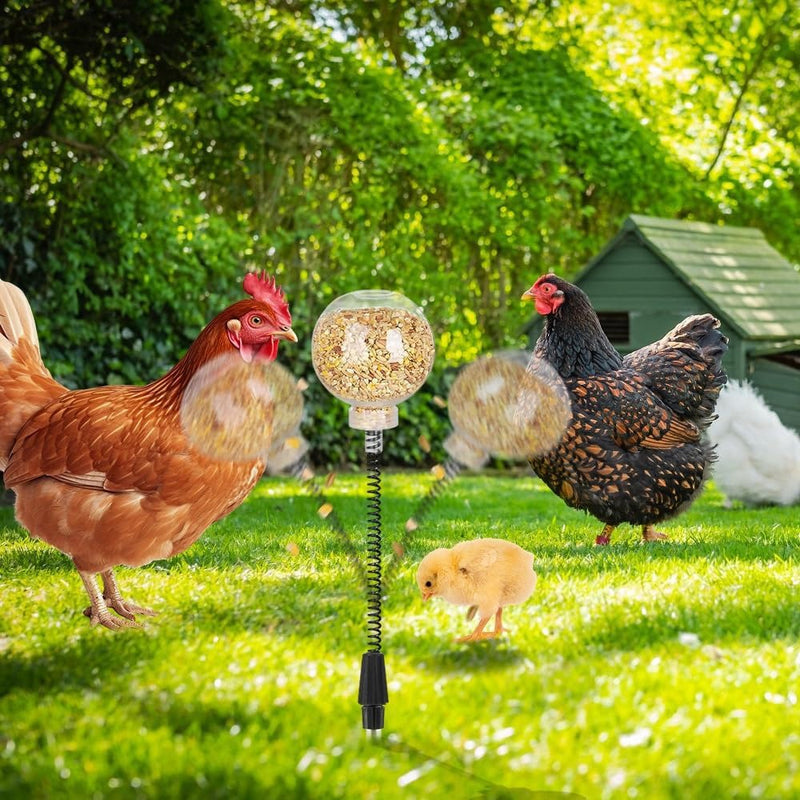 2Pcs Chicken Peck Toys, Chicken Enrichment Toys with Swing Feeder, Interactive Slow Feed Release Toy for Your Flock, Chick Treat Dispensers for Hens Poultry Duck Birds Parrots - PawsPlanet Australia