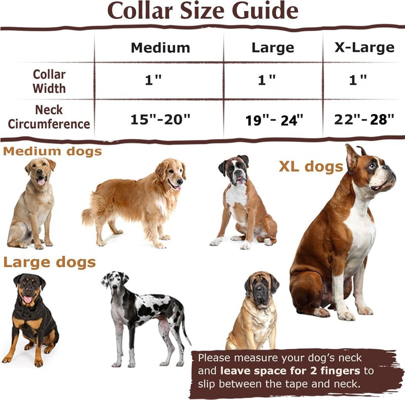 Choke Collar for Dogs,Martindale Dog Collar for Large Dogs,Choke Chain for Dogs,Training Escape Proof Heavy Duty Dog No Pull Dog Collar for Medium Large Male Dogs,Blue Plaid L Blue Plaid L(Neck 19-24") - PawsPlanet Australia