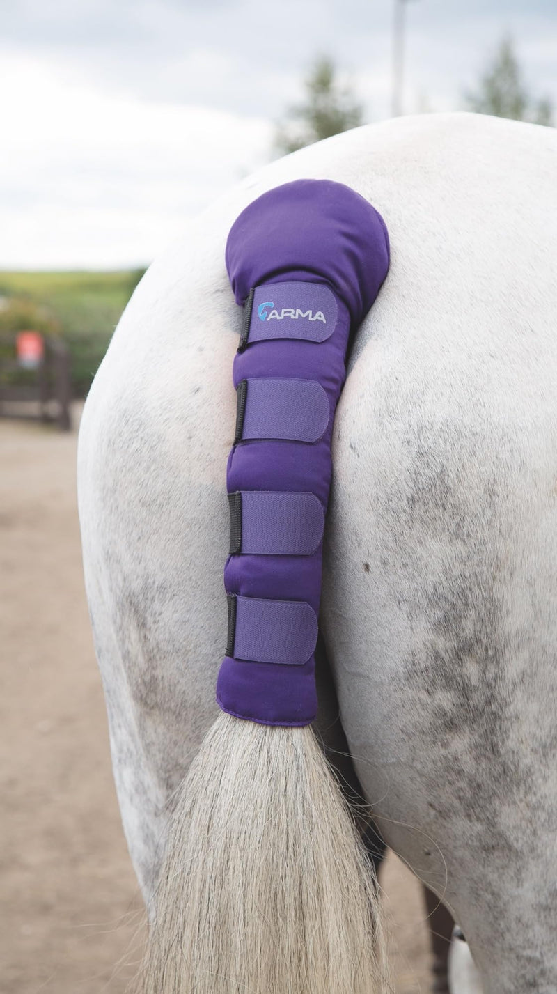 Shires Equestrian ARMA Padded Tail Guard Purple - PawsPlanet Australia