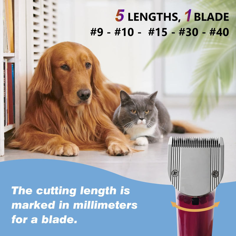 Adjustable 5-in-1 Fine Blade for Animals, Cutting Length 0.7-3 mm, Compatible with Wahl Arco, Bravura, Chromado, Creativa, Figura and Motion (3 Packs) 3 Packs