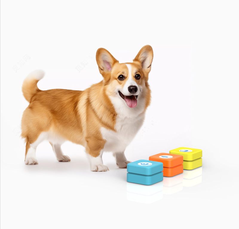 Rechargeable Dog Buttons for Communication Starter Pack,Voice Recording Buttons Set Training Pets Funny Gifts Study Office Home 3 Counts 35 Stickers Rechargeable 3 Counts + + Stickers - PawsPlanet Australia