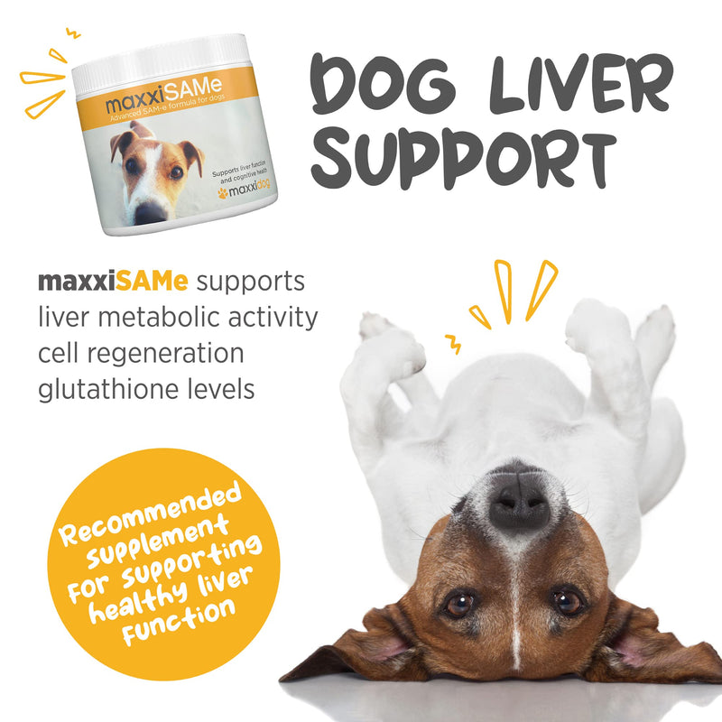 maxxiSAMe Sam-e Supplement for Dogs - Dog Liver and Cognitive Brain Support - Given with Food Powder 5.3 oz