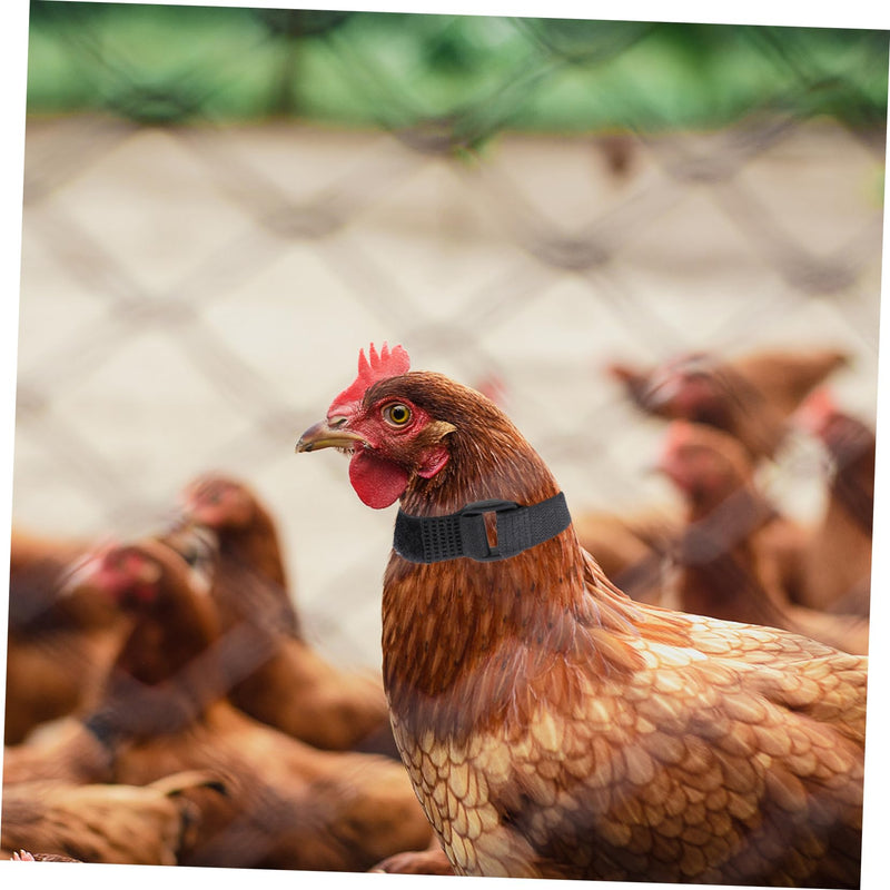 4pcs Neck Pet Collar Nylon Chicken Collar Rooster Neck Collar No Crow Rooster Band -Noise Collars Nylon Roosters Collars Noise Rooster Collar Poultry 2 Pack - PawsPlanet Australia