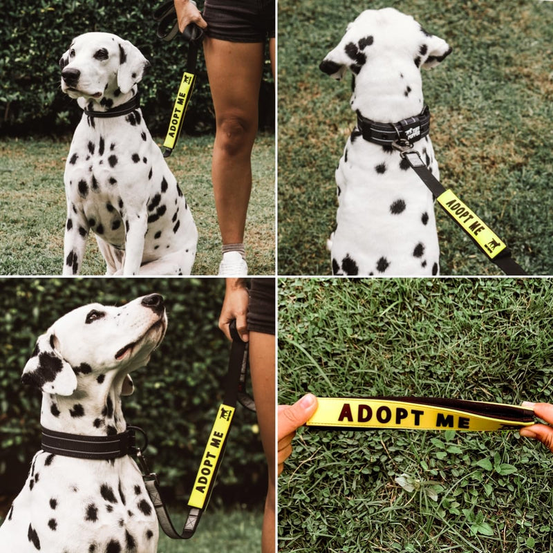 Tuff Pupper Waterproof Leash Sleeve | Fits Any Standard Size 1 Inch Wide Leash | Dual Sided Message | Durable Neoprene & Silicone | Odor & Stink Proof | Easy Secure On & Off (1 Pack, Adopt Me) Leash Sleeve - 1 Pack - PawsPlanet Australia