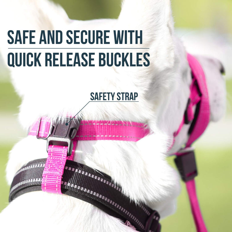 GoodBoy Dog Head Halter with Safety Strap - Stops Heavy Pulling On The Leash - Padded Headcollar for Small Medium and Large Dog Sizes - Head Collar Training Guide Included (Size 3, Pink Nylon) Size 3 (Pack of 1) Pink Nylon / Black Padding - PawsPlanet Australia